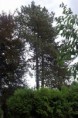 /album/fotogalerie-kaceni-borovic-u-fary-2013/a3-jpg5/